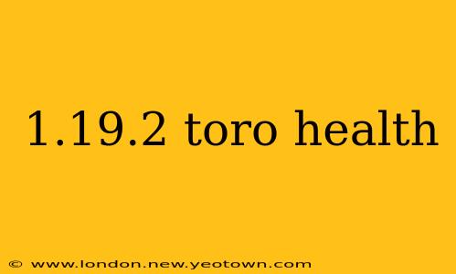 1.19.2 toro health