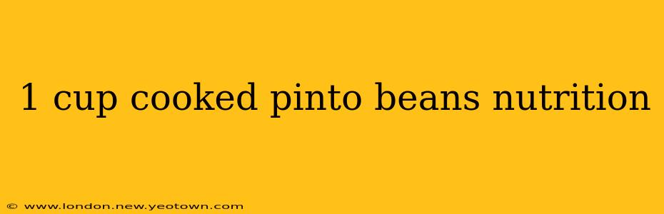 1 cup cooked pinto beans nutrition