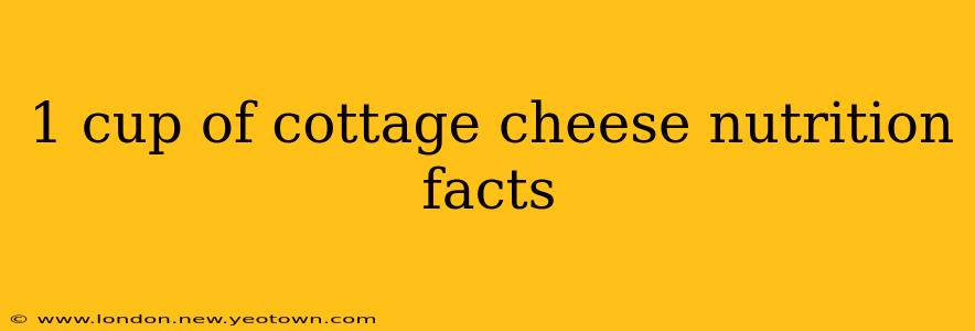 1 cup of cottage cheese nutrition facts