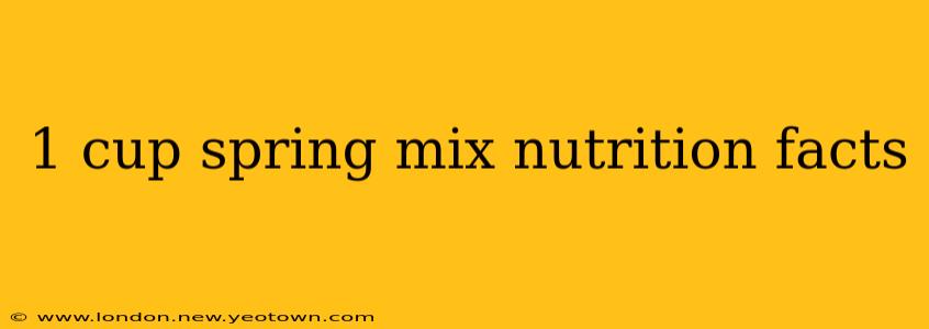 1 cup spring mix nutrition facts