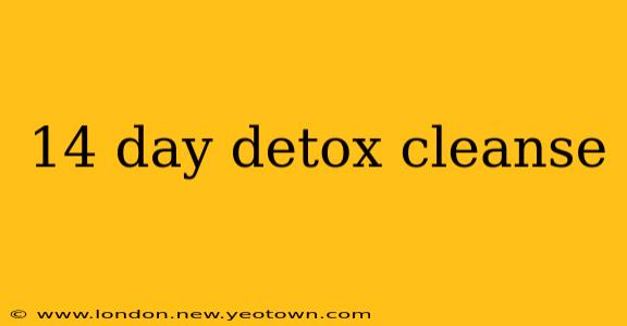 14 day detox cleanse