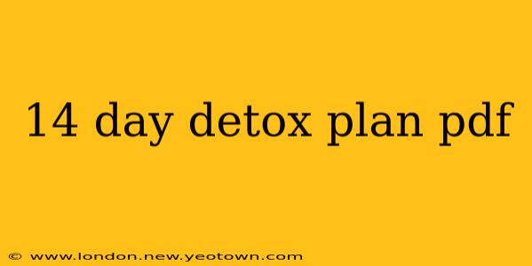 14 day detox plan pdf