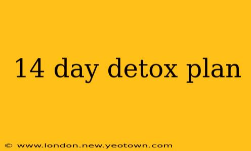 14 day detox plan