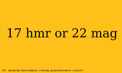 17 hmr or 22 mag