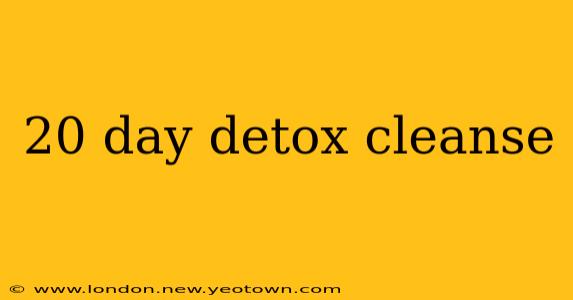 20 day detox cleanse