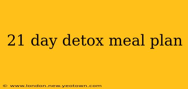 21 day detox meal plan