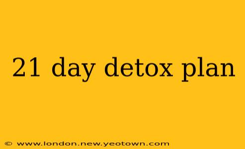 21 day detox plan