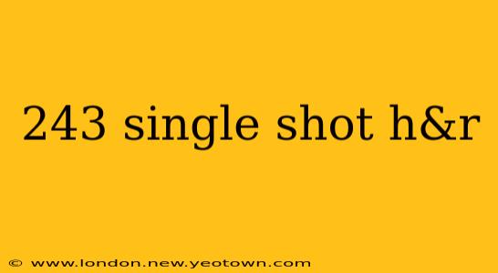 243 single shot h&r
