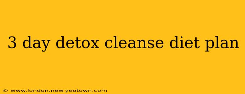3 day detox cleanse diet plan