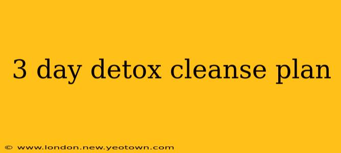 3 day detox cleanse plan