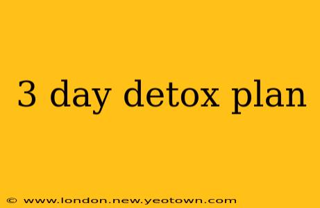 3 day detox plan