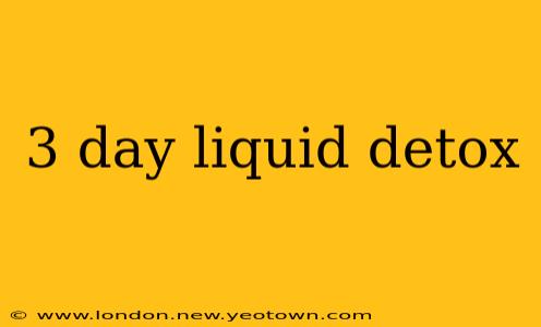 3 day liquid detox