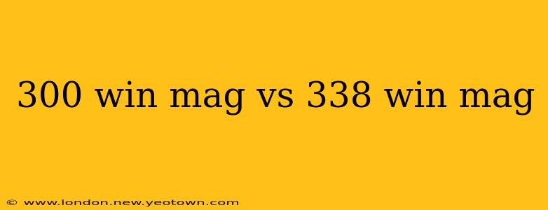 300 win mag vs 338 win mag