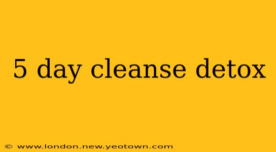 5 day cleanse detox