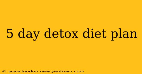 5 day detox diet plan