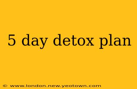 5 day detox plan