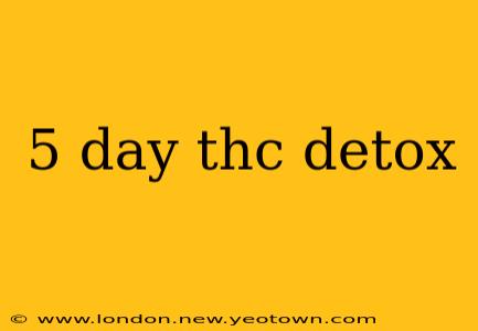 5 day thc detox