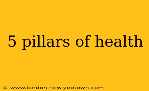 5 pillars of health