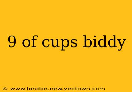 9 of cups biddy