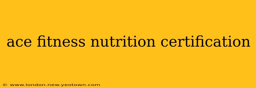 ace fitness nutrition certification