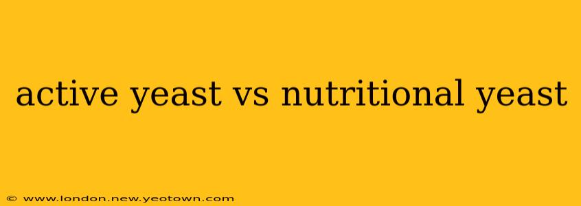 active yeast vs nutritional yeast