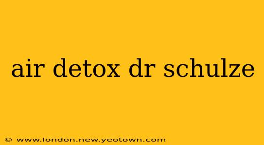 air detox dr schulze