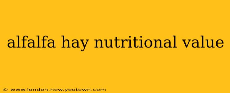 alfalfa hay nutritional value