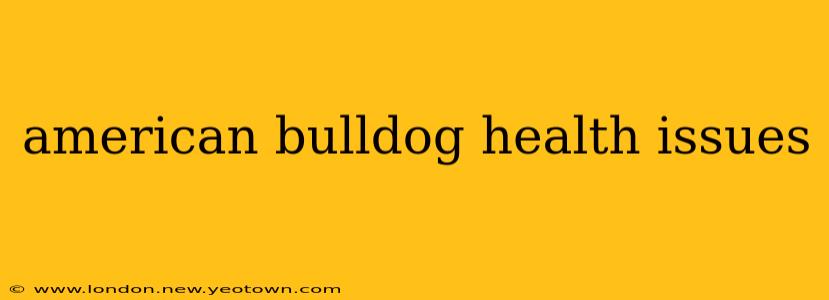 american bulldog health issues