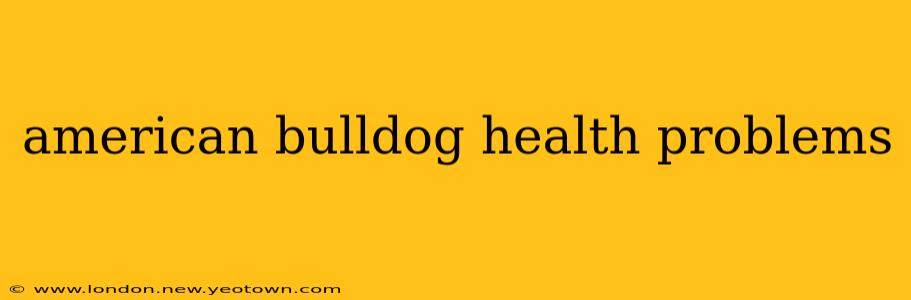 american bulldog health problems