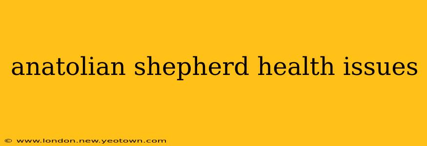 anatolian shepherd health issues