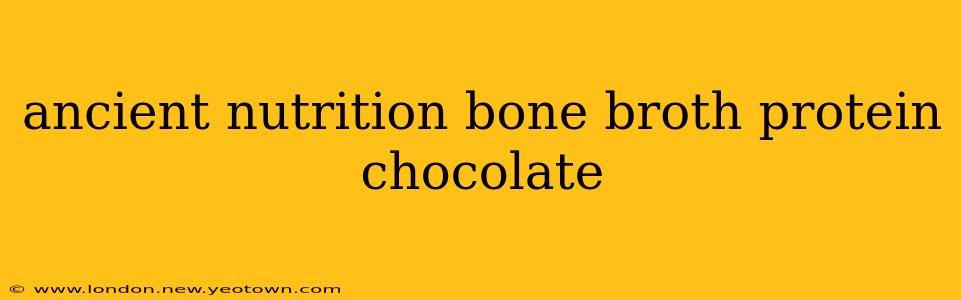 ancient nutrition bone broth protein chocolate