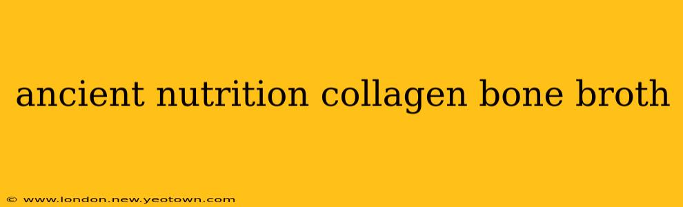 ancient nutrition collagen bone broth
