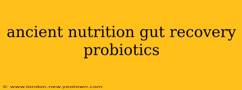 ancient nutrition gut recovery probiotics
