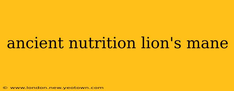 ancient nutrition lion's mane
