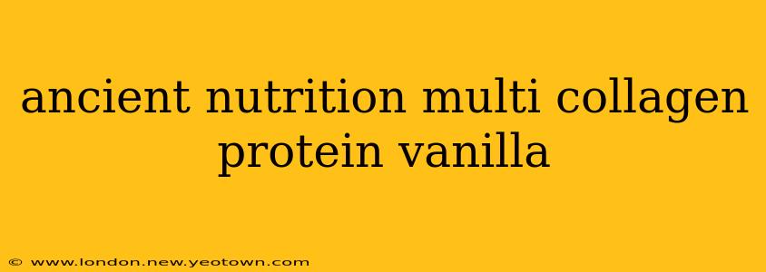 ancient nutrition multi collagen protein vanilla