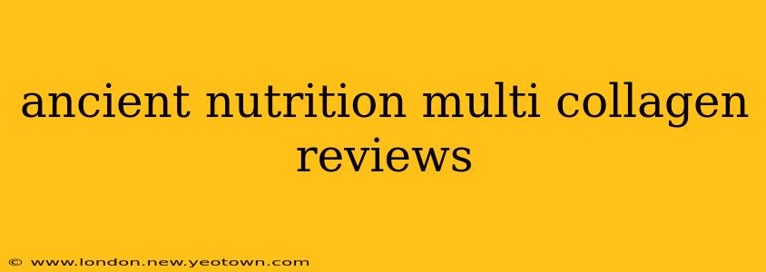 ancient nutrition multi collagen reviews