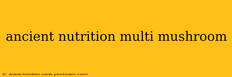 ancient nutrition multi mushroom