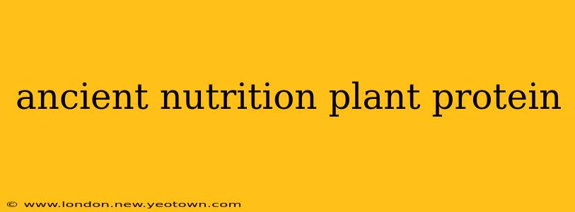 ancient nutrition plant protein