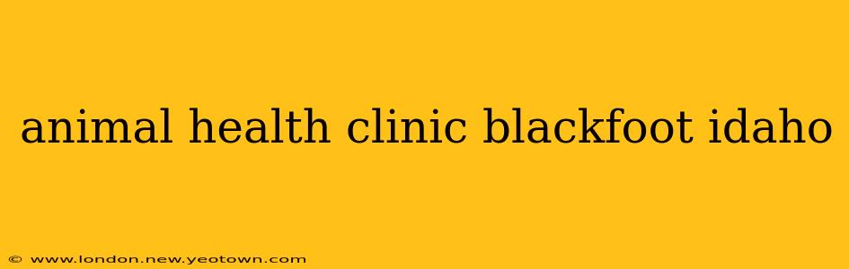 animal health clinic blackfoot idaho