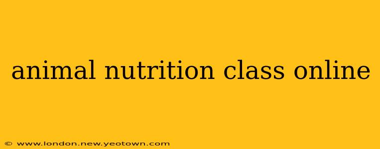 animal nutrition class online