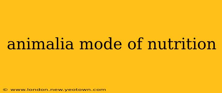 animalia mode of nutrition
