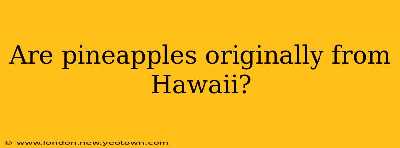 Are pineapples originally from Hawaii?