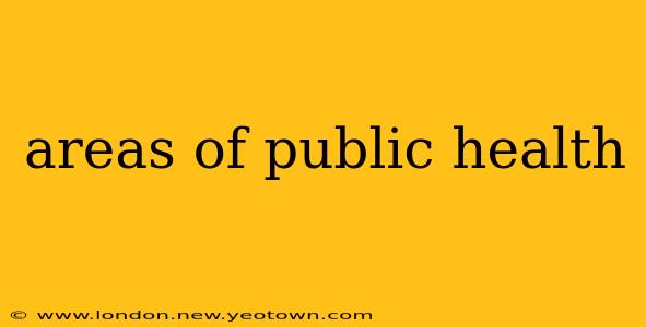 areas of public health
