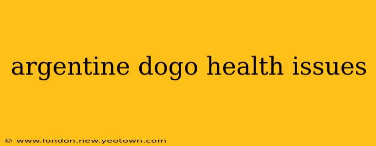 argentine dogo health issues