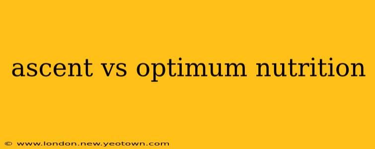 ascent vs optimum nutrition