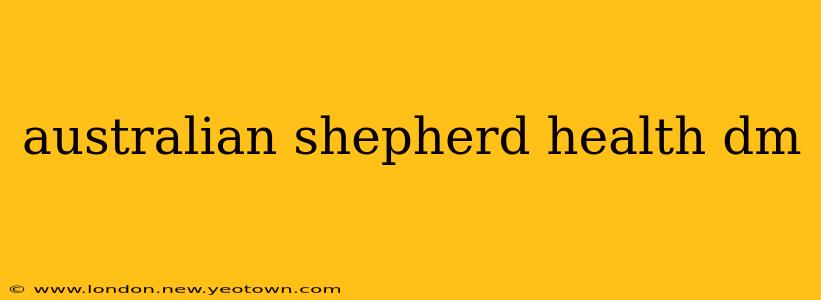 australian shepherd health dm