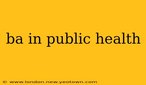 ba in public health