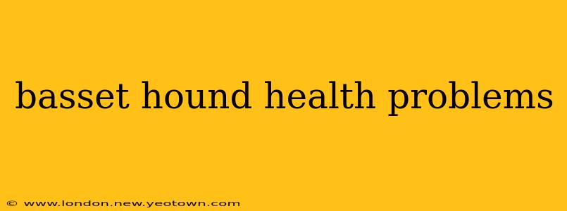 basset hound health problems