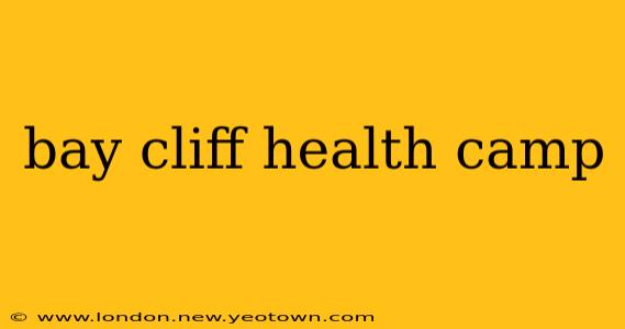 bay cliff health camp
