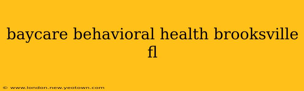 baycare behavioral health brooksville fl